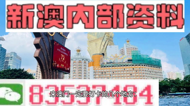 7777788888澳门王中王2024年_精选解释落实将深度解析_实用版605.498